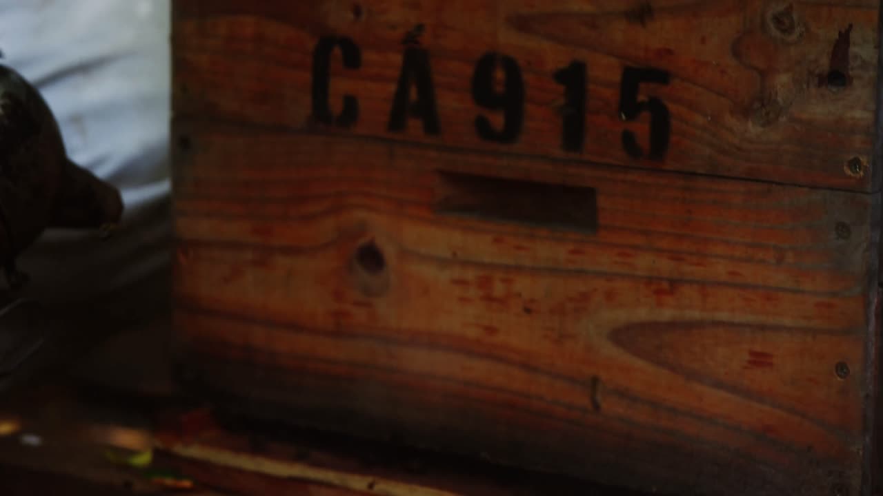 벌집 담배 를 피우는 사람 이 벌집 담배 를 피우는 사람