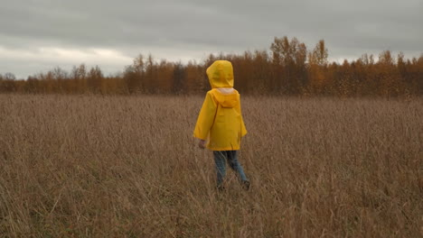 person in yellow raincoat walking through an autumn field