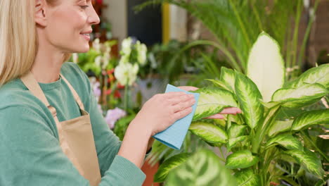 mujer limpiando plantas en una tienda de flores
