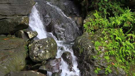 a small waterfall surrounded by rock and vegetation in a rainforest climate