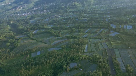 aerial view larger plantation in countryside of indonesia