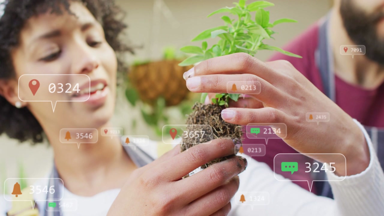 Woman lifting rootball starting gardening check, man teasing roots for potting, AR alerts rising