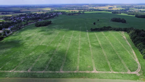 tomada aérea del campo de maíz joven en el campo de europa central, sobrevuelo cinematográfico