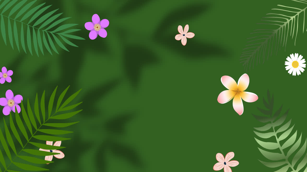 Animation of flowers over leaves and window shadow on green background