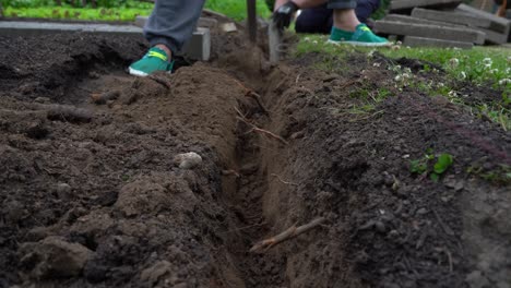 Close-Up-Gardener-Digging-Trench-By-Hand-With-Pickaxe,-Low-Angle-Shot