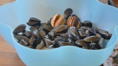 female hands cleaning seashells gathered fresh from the sea