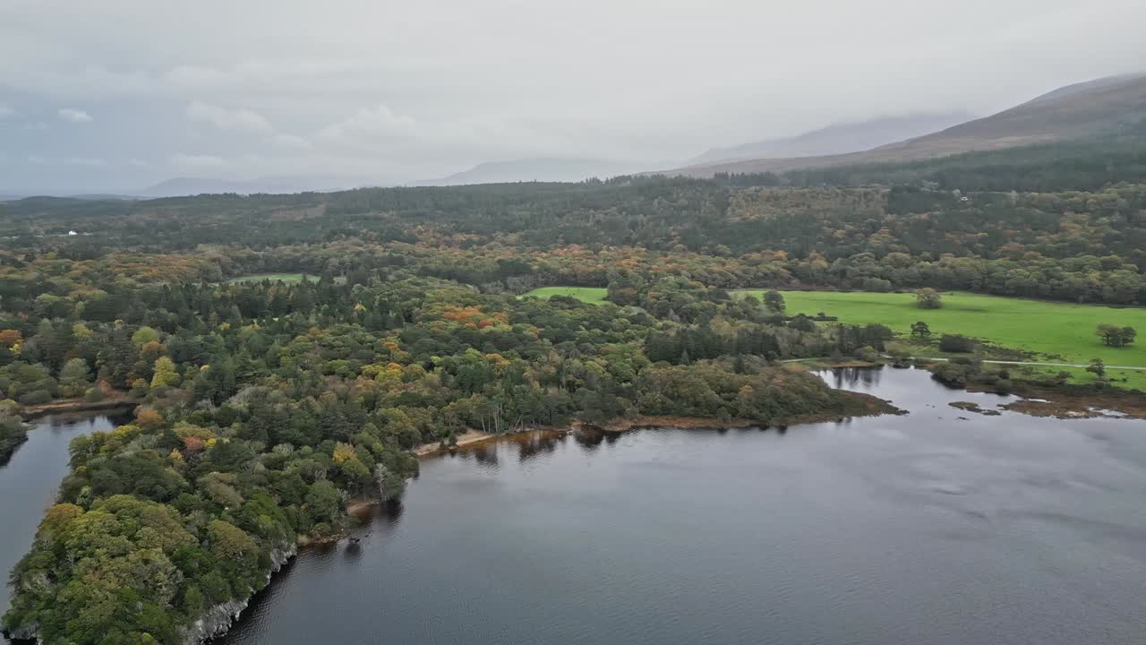 Mountains And Woodland Near Muckross House In Killarney National Park, County Kerry, Ireland. Aerial Drone Shot