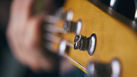 músico profesional toca el bajo con la cabeza marrón