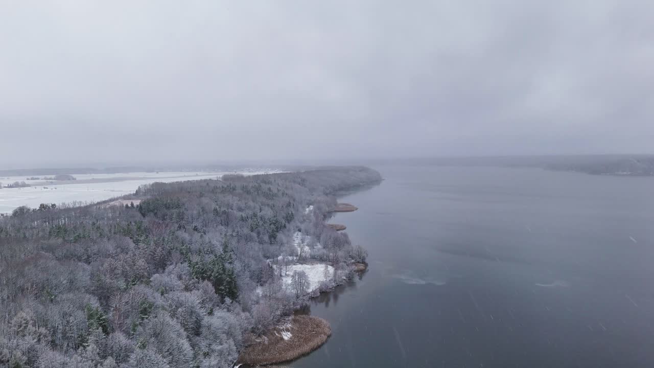 Snow covered trees lining the shores of Kauno Marios in Lithuania create a tranquil winter landscape, set against a backdrop of a cloudy sky, evoking a sense of serene beauty, drone shot