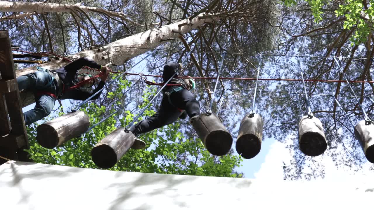 curso de aventura en las copas de los árboles