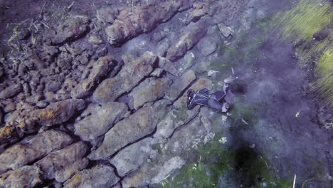 buceador de esnórquel explorando los fondos marinos rocosos