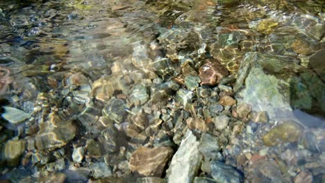 close up of clean water flowing in a small mountain river, slow motion and shallow depth of field.