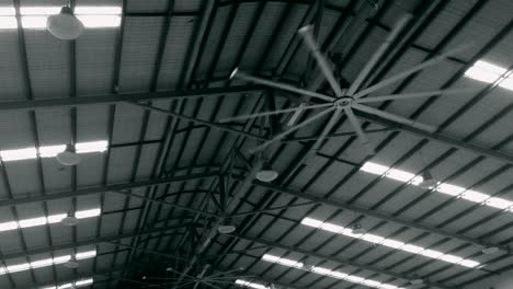 large industrial ceiling fans