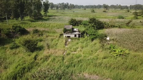 Aerial-shot,-little-wrecked-stone-house-in-the-middle-of-the-bush,-track-on-the-house-flying-away-from-the-house