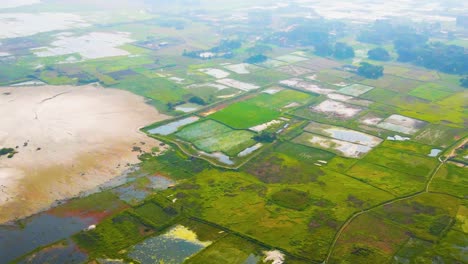 wetland green farming plots in high angle drone view