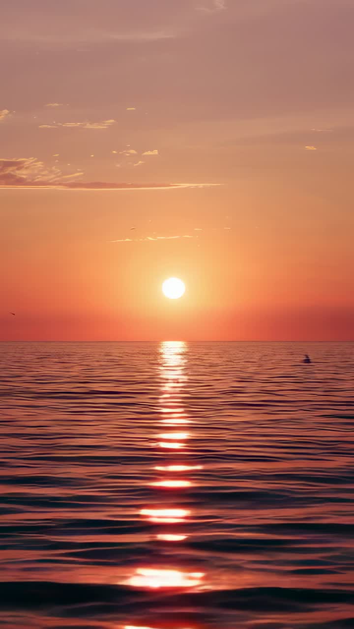 Vertikal video: Synkende sol, der kaster en lang, vertikal refleksion på havet ved solnedgang, havfugle i bevægelse