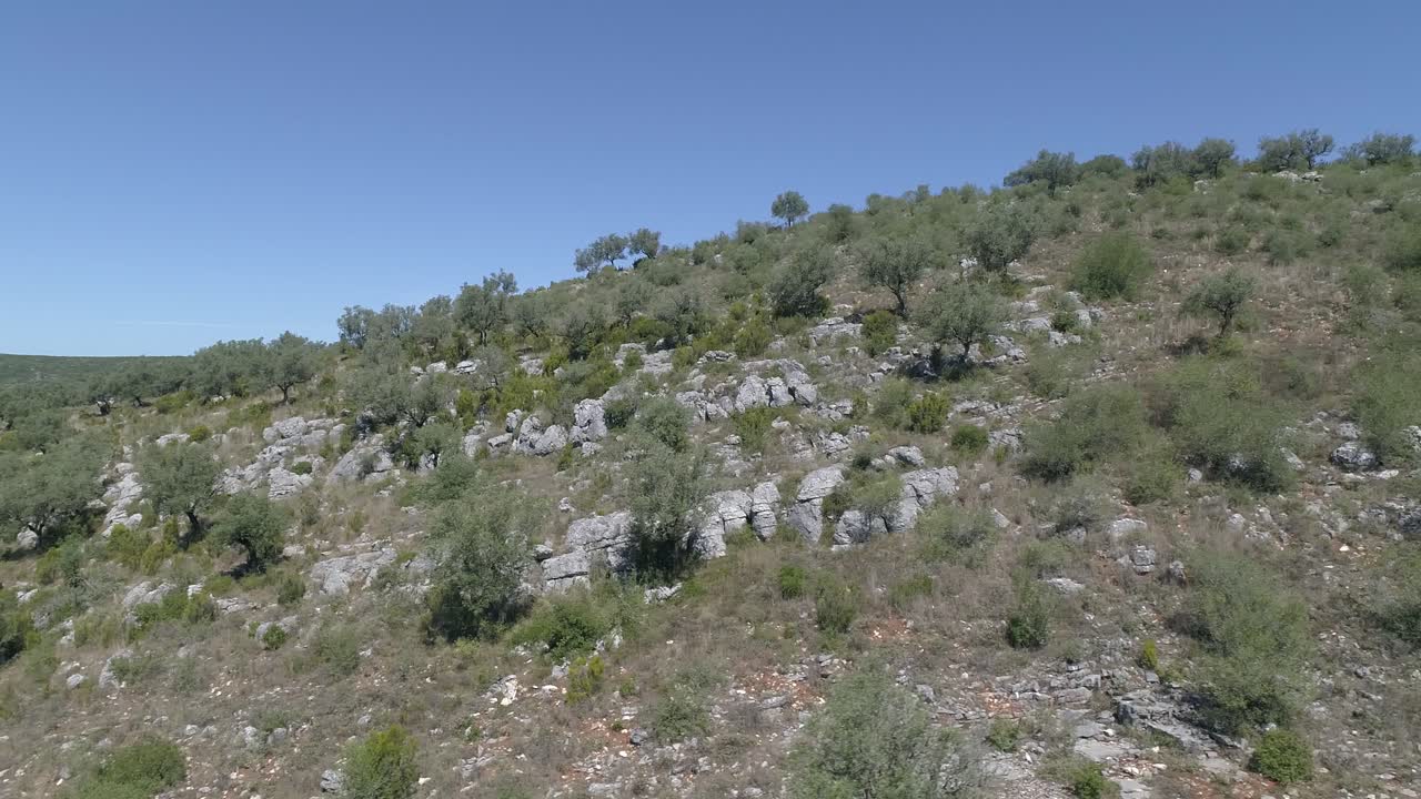 vuelo de aviones no tripulados sobre las copas de los olivos que crecen en las montañas europeas