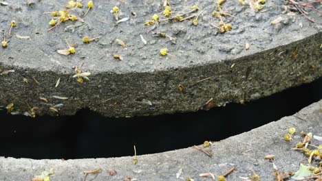 a slightly open manhole with the cover in estonia