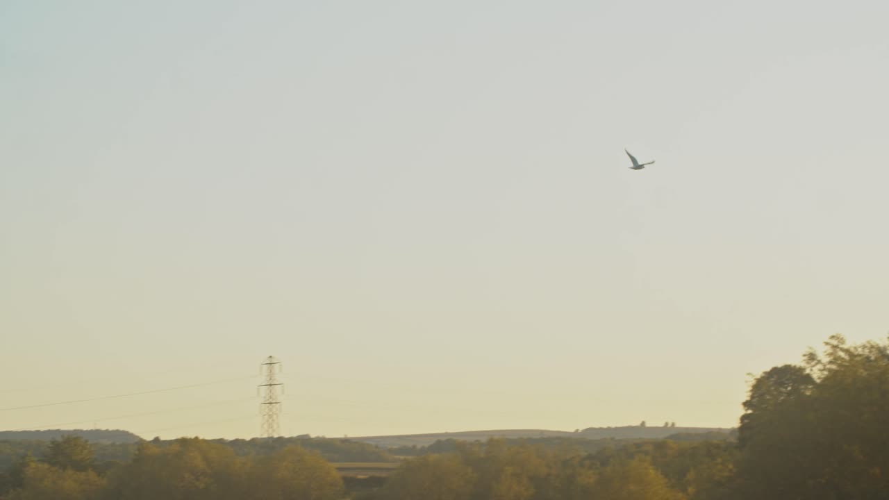 가을 계절 에 바네슬리 에 있는 엘세카르 공원 위 의 파란 하늘 을 가로질러 날아다니는 외로운 새