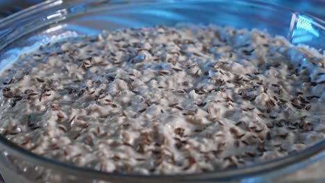 Sprinkling-Dried-Cumin-Seeds-On-Top-Of-Chicken-And-Oatmeal-Dish-Before-Baking