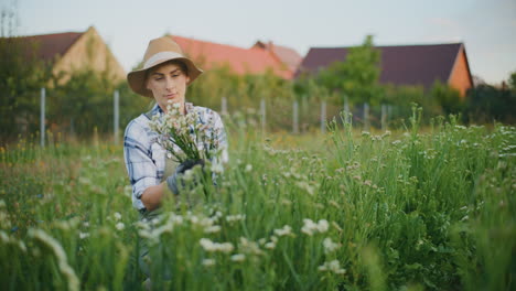 woman picking flowers in a field