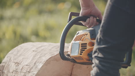 man cutting trunk with chainsaw