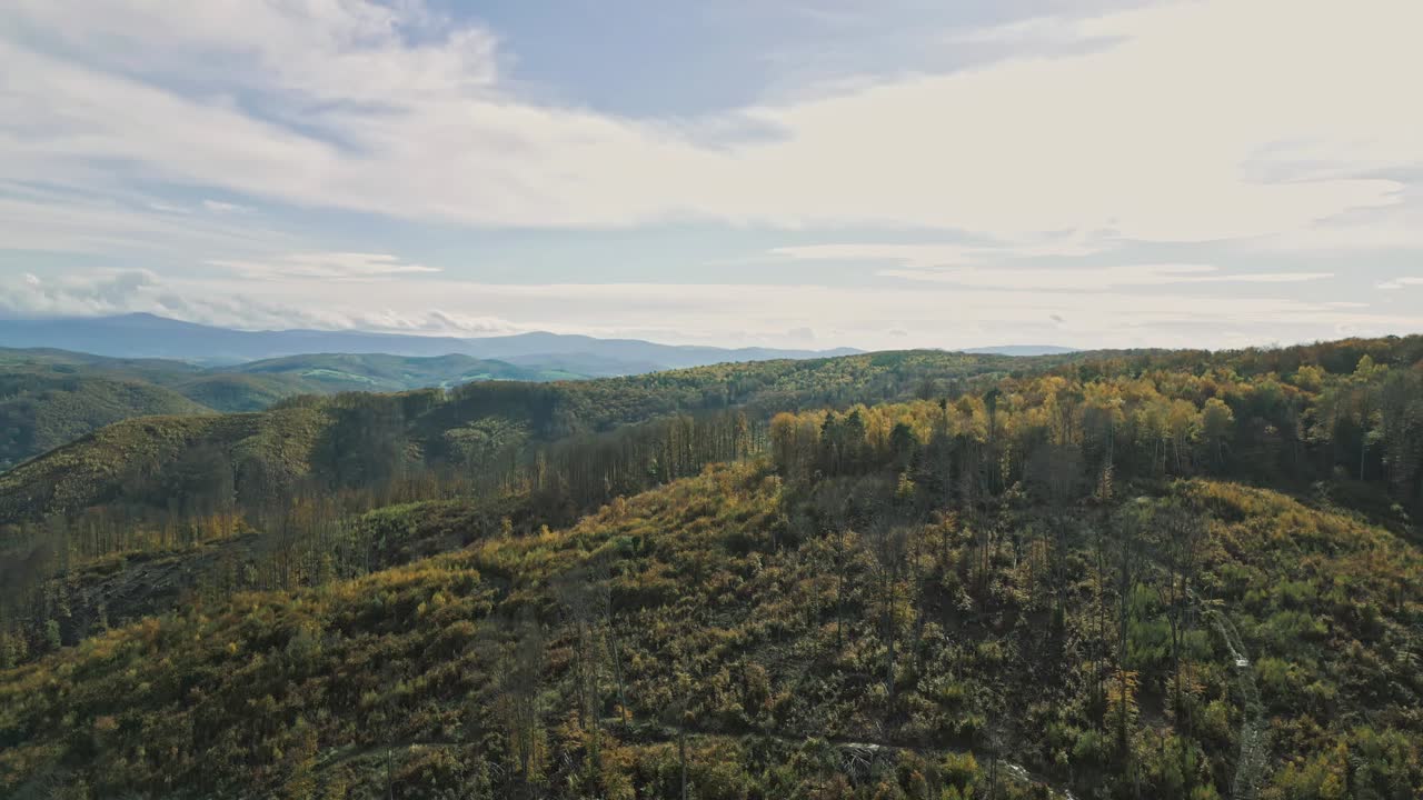 vuelo sobre un gran bosque con paisaje