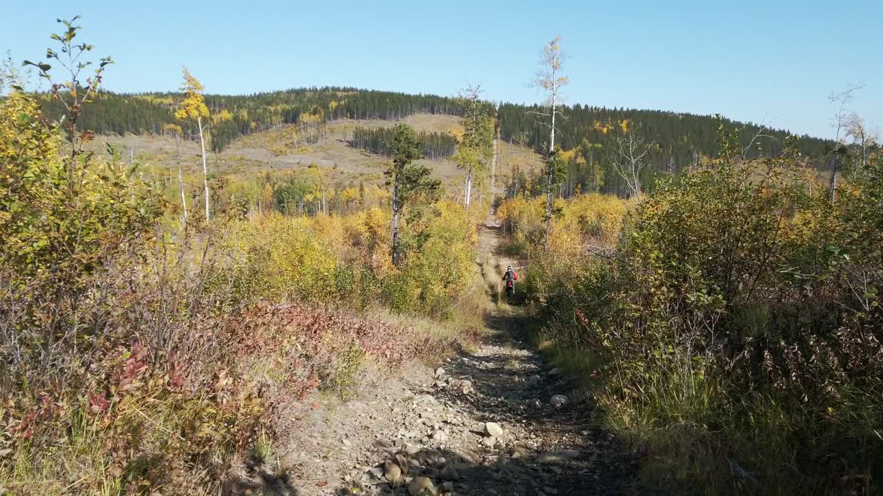 캐나다 앨버타를 따라 떠나는 오지 도로에서 먼 먼지 자전거