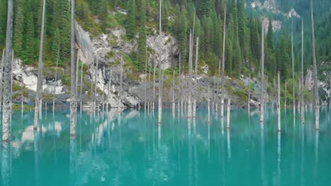 lago kaindy en kazajstán conocido también como lago de abedules o bosque submarino