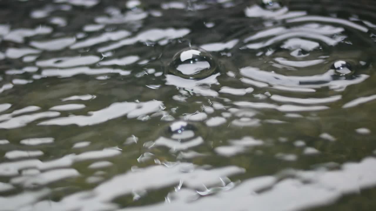 close up of water bubbles when it rains