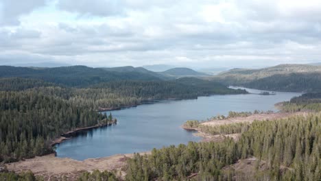 picturesque nature with dense conifer forest and lake in summertime