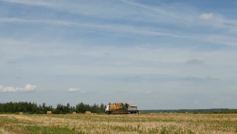 farming, tractor loads bale of hay into the trailer on countryside