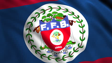 flag of belize