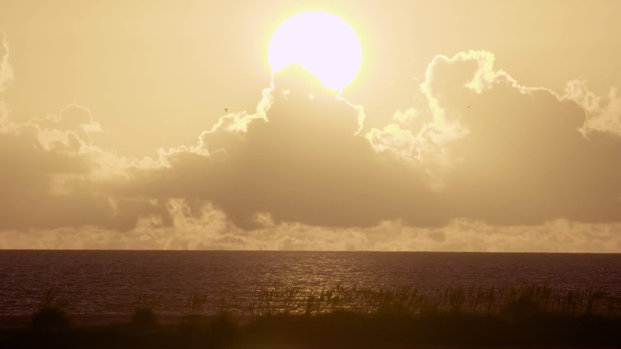 새 실루엣이 나는 따뜻하고 열대 해변 바다 일몰