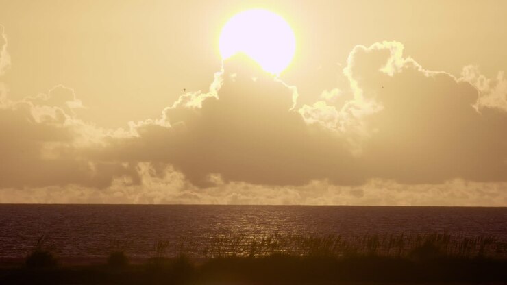 warm and tropical beach ocean sunset with bird silhouettes flying