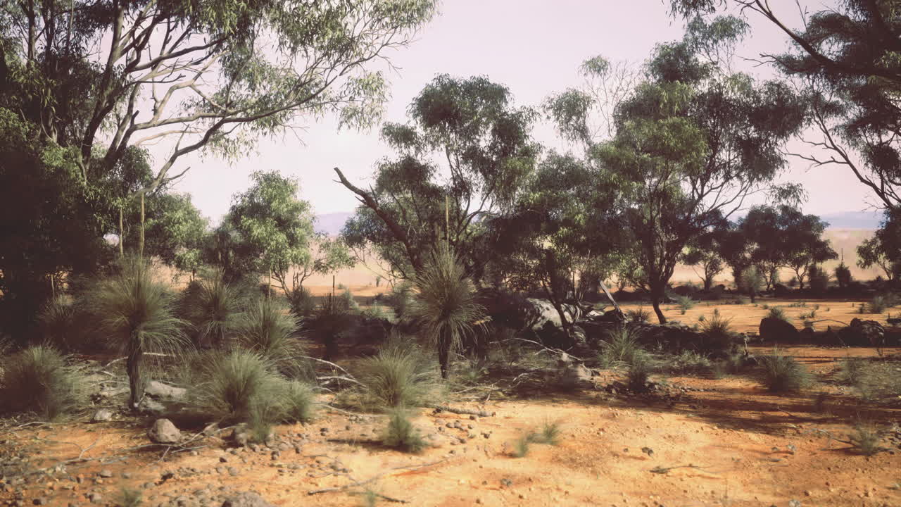 Desert landscape with sparse vegetation and distant hills under clear sky