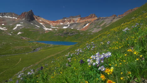 cinematic heavenly paradise ice lake basin trail alpine wilderness columbine purple state wildflowers yellow wind stunning colorado silverton telluride rocky mountain range snow summer beautiful still