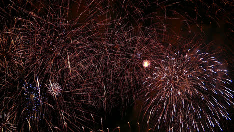 hermosa celebración abstracto colorido espectáculo de fuegos artificiales en el fondo de la noche