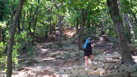 Eine-Wanderin,-Die-Allein-Auf-Dem-Weg-Den-Hügel-Im-Gwanaksan-Gebirge-In-Südkorea-Hinaufgeht,-Wobei-Das-Sonnenlicht-Durch-Die-Bäume-Scheint---Weitschuss