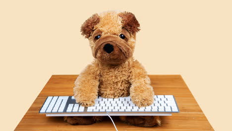 stuffed dog working on a computer keyboard