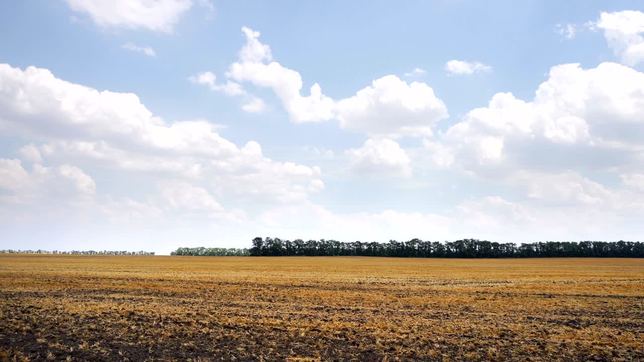 vista de la ventana lateral del coche conduciendo alrededor de un paisaje plano campo. agricultura.