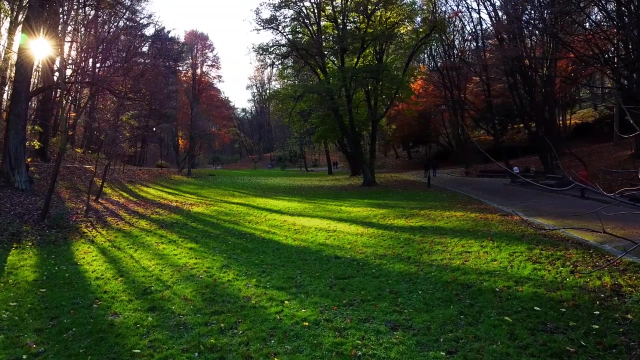 Prato verde nel parco autunnale