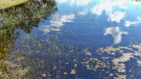 flying over a pound with cloud and sky reflections
