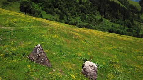 Luftaufnahme-Einer-Berglandstraße,-Die-Durch-Grüne-Felder-Und-Waldbäume-Führt