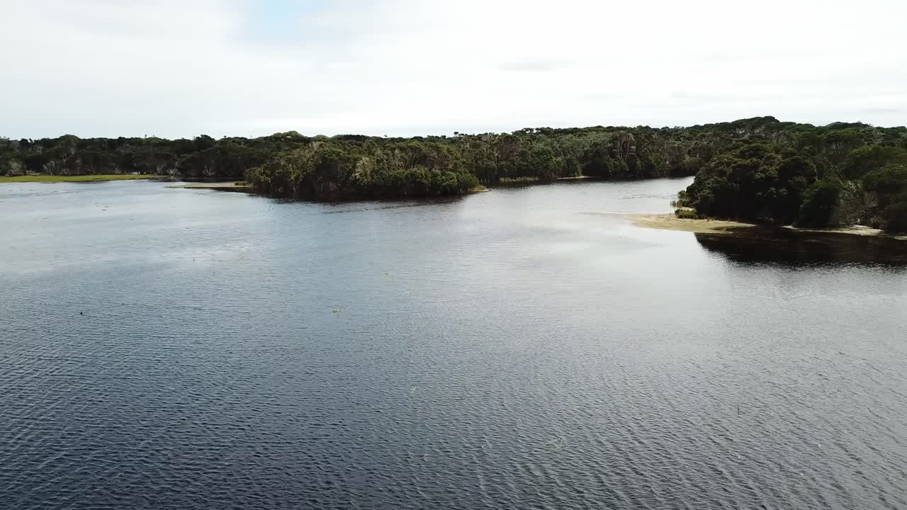 Drone aerial over lake and nature reserve panning parralax with forest landscape