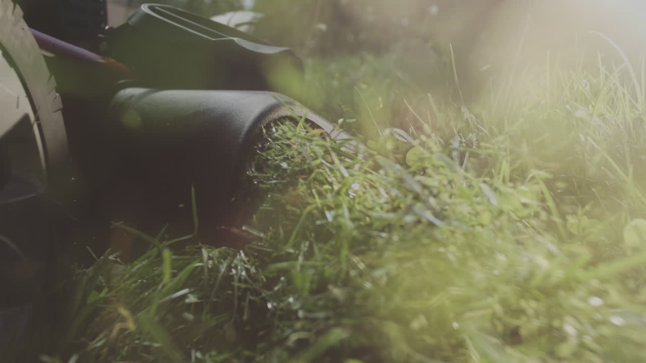 잔디를 잘라내는 잔디 기 기계