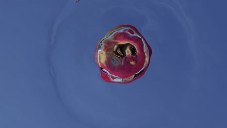 an apple falling into the water. a 3d apple falling in blue water. 3d apple animation seen from above