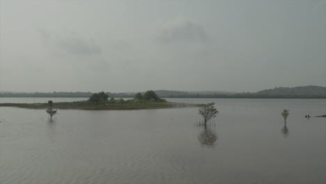 Statische-Zeitlupe-Weitwinkelaufnahme-Eines-Sees-Mit-Einer-Insel-Im-Wasser-Mit-Bäumen-Und-Pflanzen-Bei-Ruhigem-Wasser