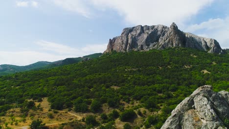 mountain landscape with lush forest