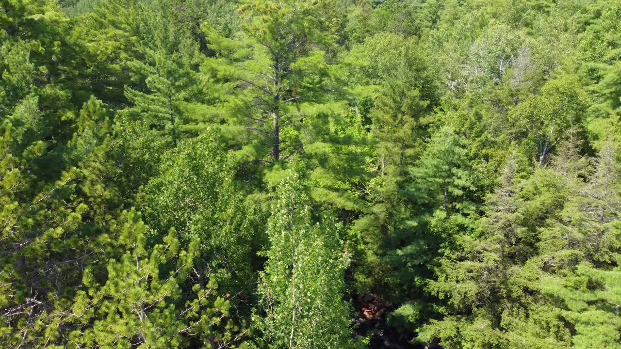 Beautiful Aerial View Over Lush Green Forest And Flowing Water Of Duchesnay Falls, North Bay, Ontario